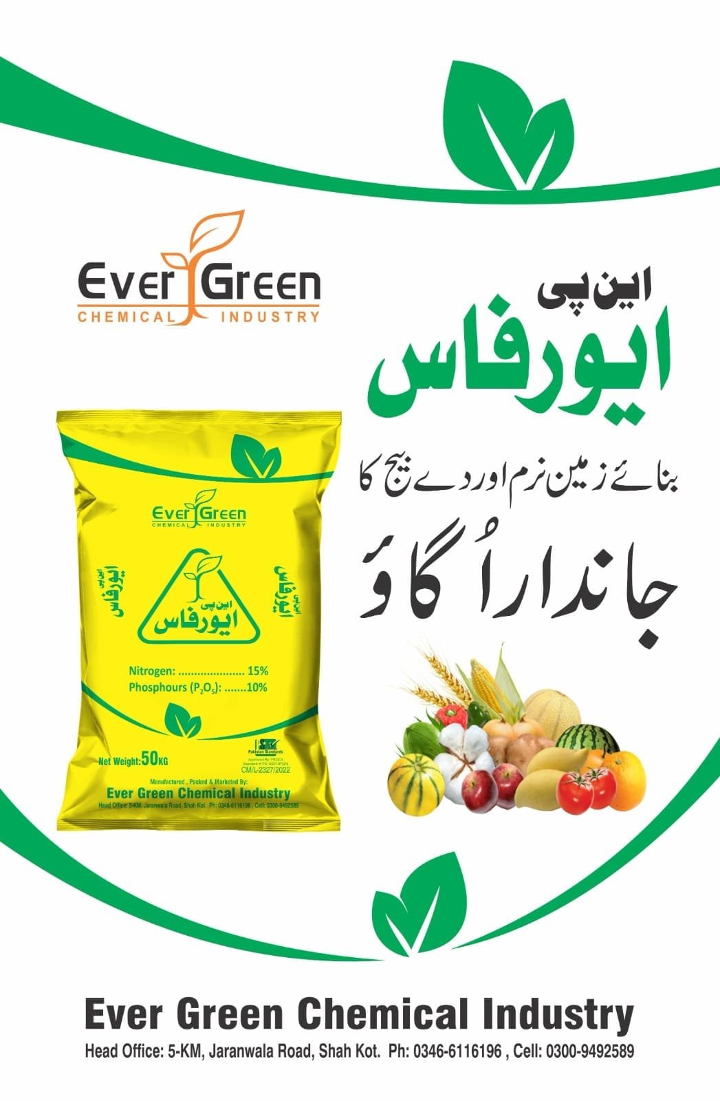 WhatsApp Image 2025-10-28 at 16.24.15_c37d1bbe